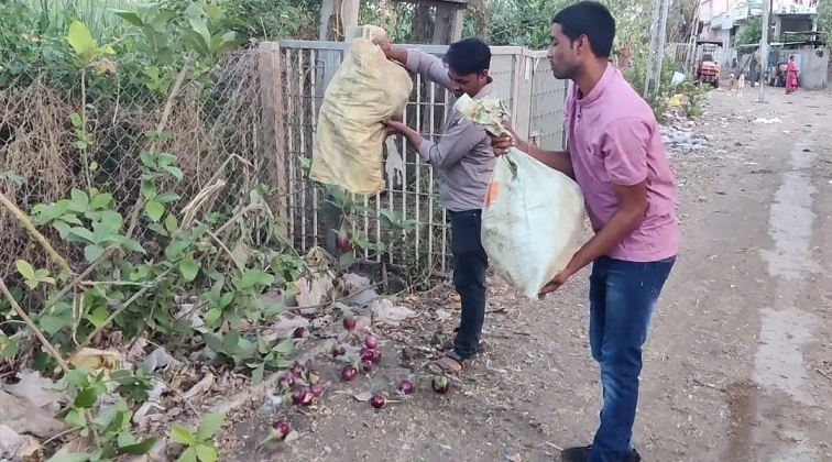 નર્મદાના રીંગણના ભાવ ગગાડતા ખેડૂતોને રીંગણાં રસ્તા પર ફેંકવાનો આવ્યો