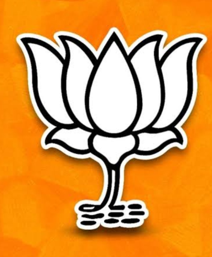 કપડવંજમાં કેસરીયો લહેરાયો: જિલ્લા પંચાયતની બેઠકો પર ભાજપનો ભવ્ય વિજય
